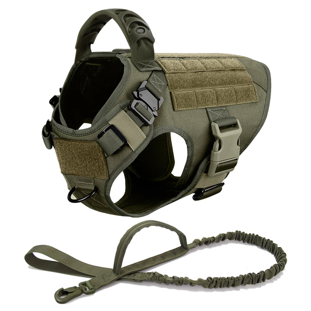 Large Dog Harness & Leash Set with Collar
