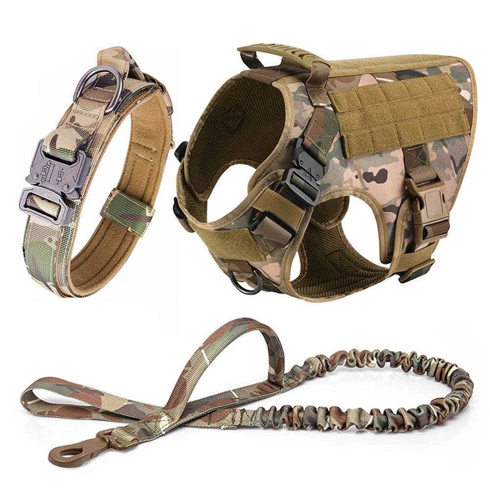 Large Dog Harness & Leash Set with Collar