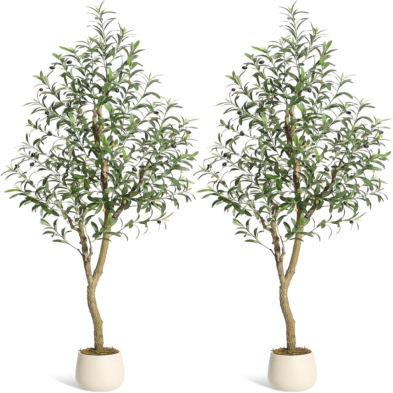 5-7ft Artificial Olive Tree with White Planter