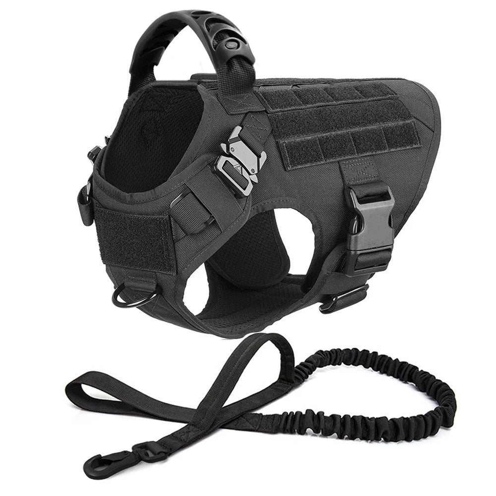 Large Dog Harness & Leash Set with Collar