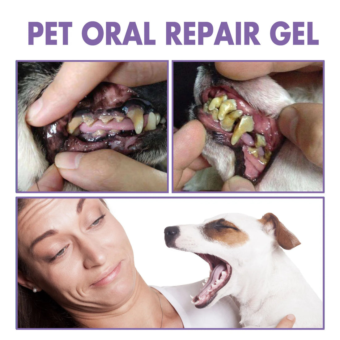 2pcs Pet Teeth Cleaning Pen with Oral Gel