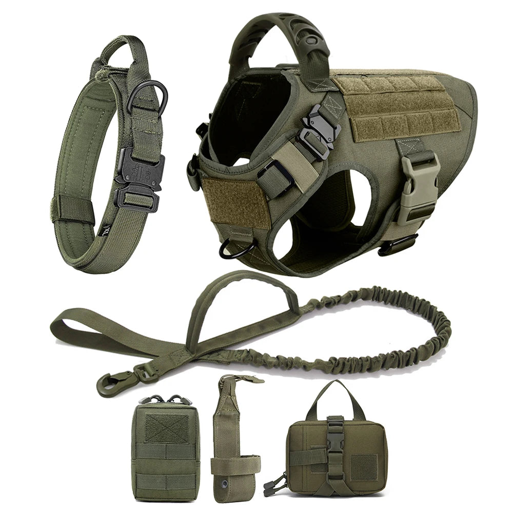 Large Dog Harness & Leash Set with Collar