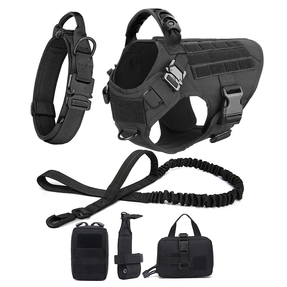 Large Dog Harness & Leash Set with Collar