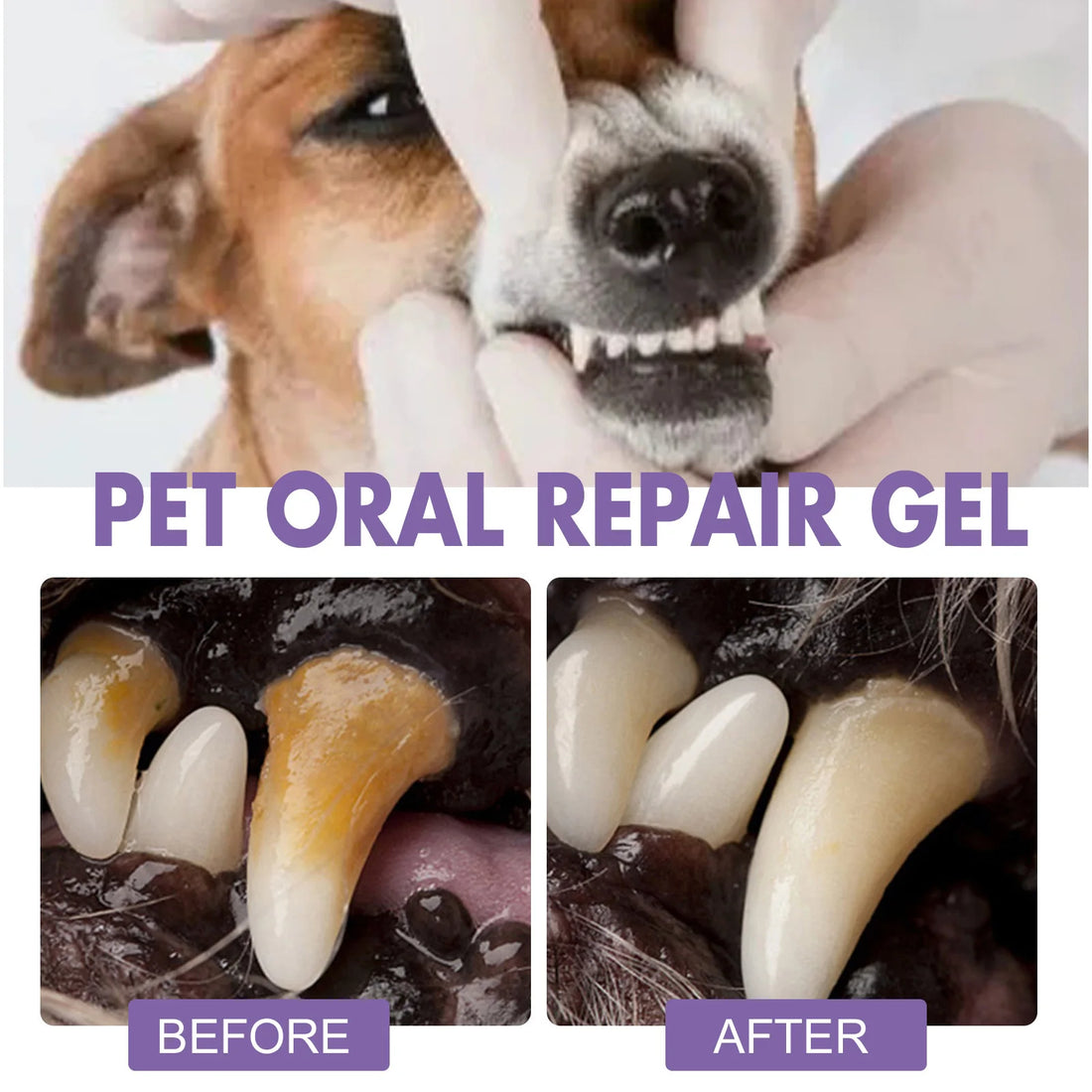 2pcs Pet Teeth Cleaning Pen with Oral Gel