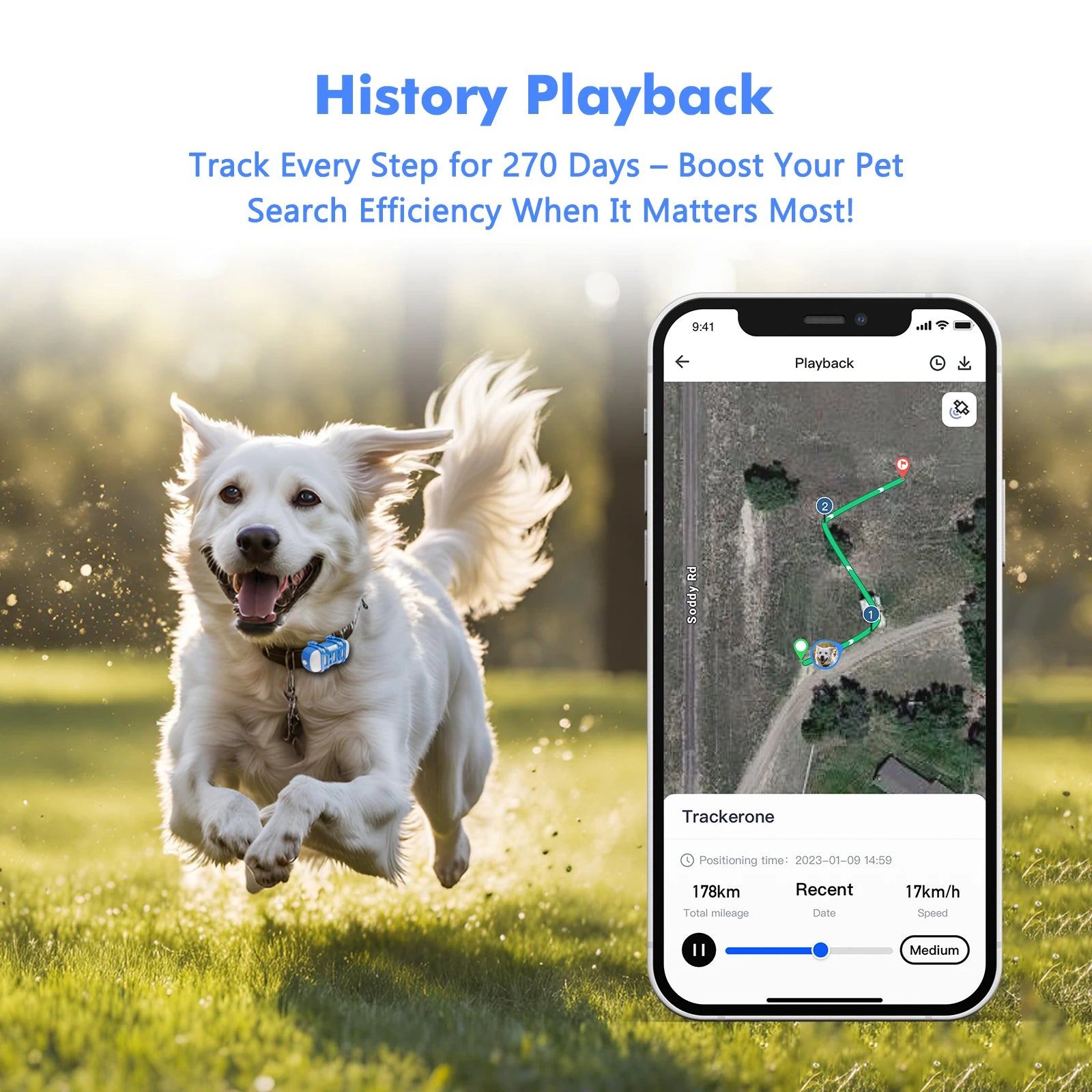 4G GPS Pet Tracker for Dogs & Cats