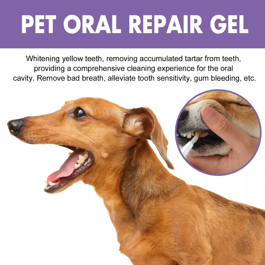 2pcs Pet Teeth Cleaning Pen with Oral Gel
