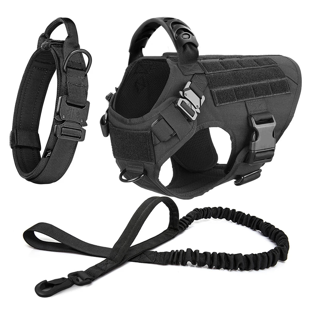 Large Dog Harness & Leash Set with Collar