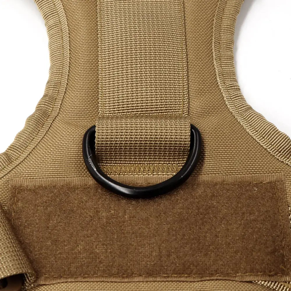 Large Dog Harness & Leash Set with Collar