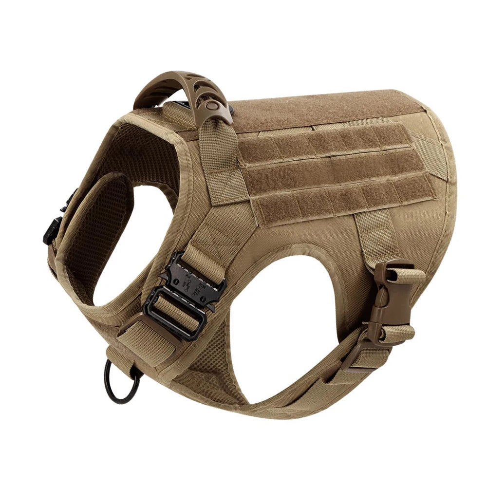 Large Dog Harness & Leash Set with Collar