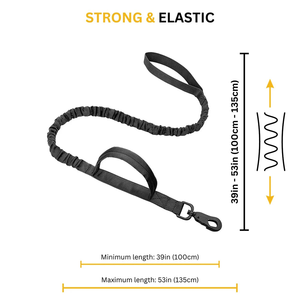 Large Dog Harness & Leash Set with Collar