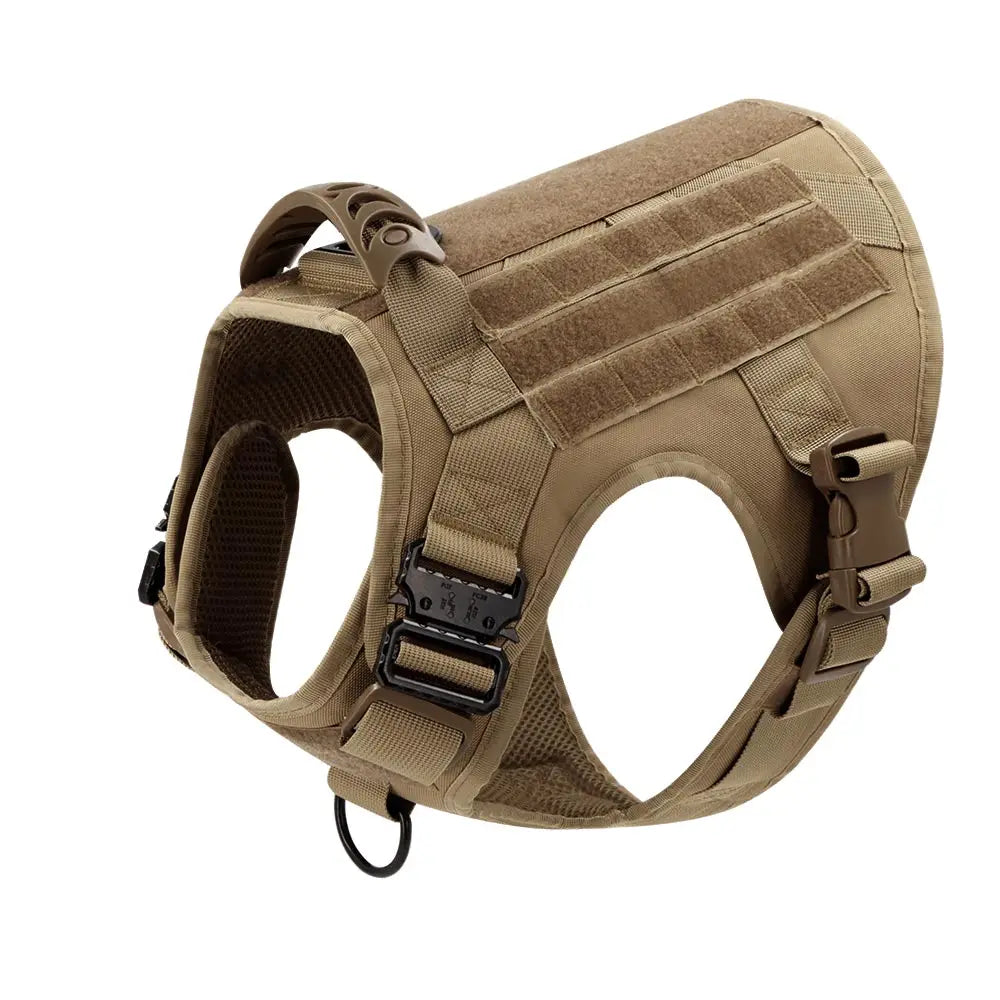 Large Dog Harness & Leash Set with Collar
