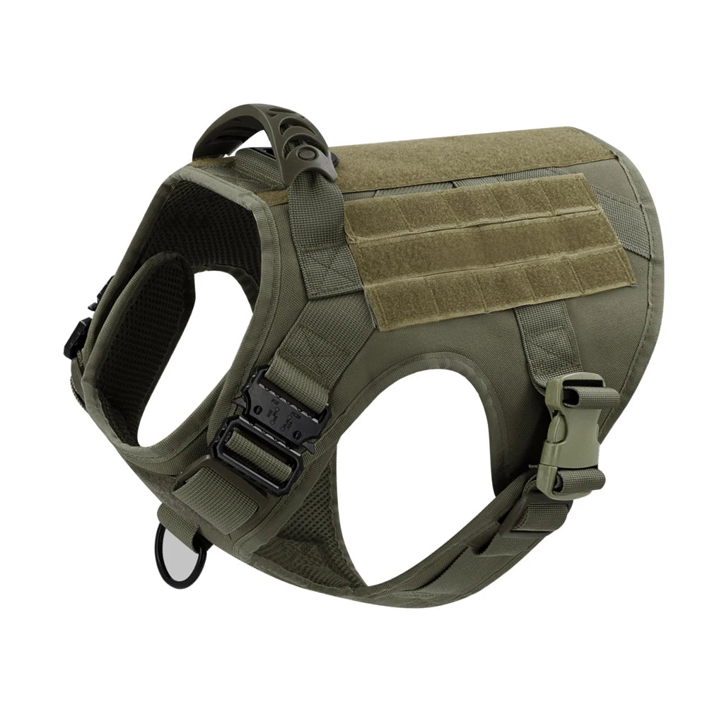 Large Dog Harness & Leash Set with Collar