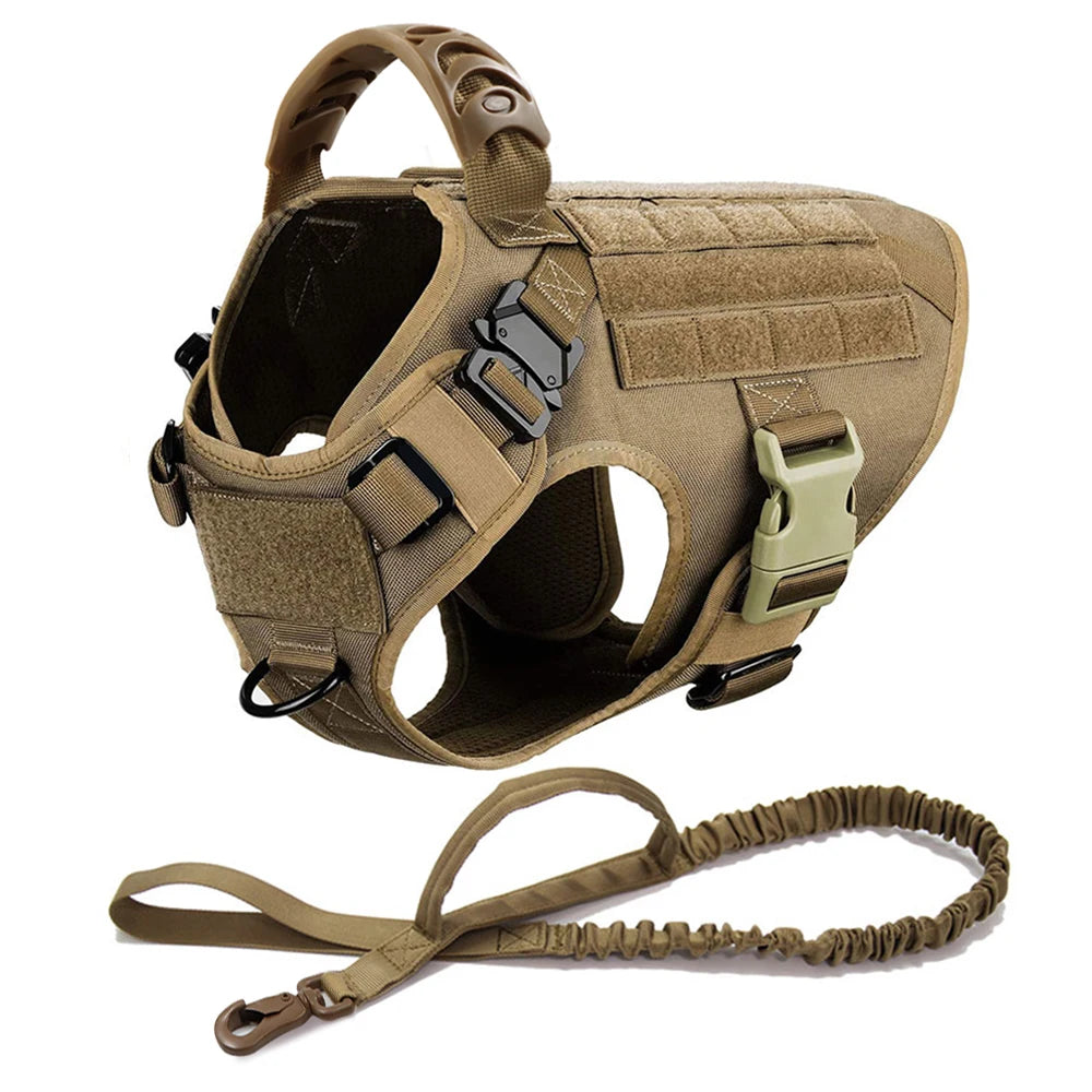 Large Dog Harness & Leash Set with Collar