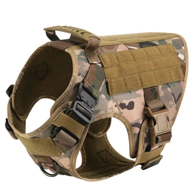 Large Dog Harness & Leash Set with Collar