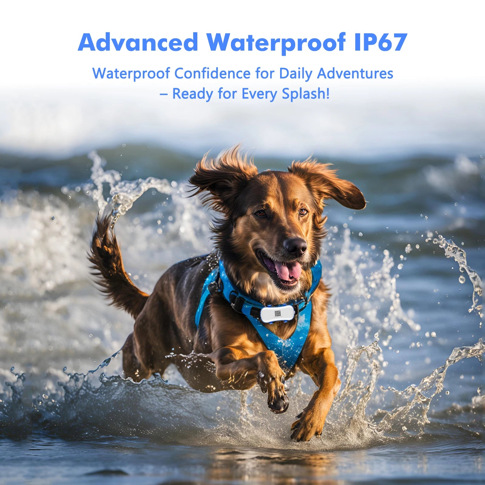 4G GPS Pet Tracker for Dogs & Cats