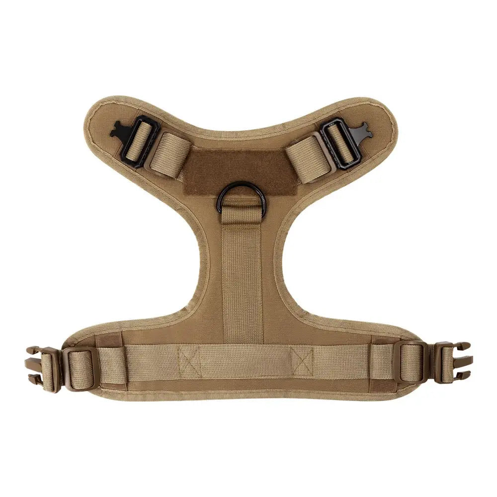 Large Dog Harness & Leash Set with Collar