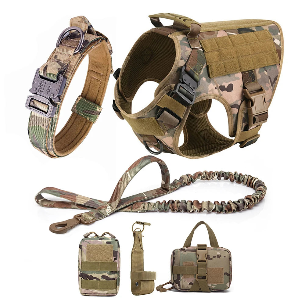Large Dog Harness & Leash Set with Collar