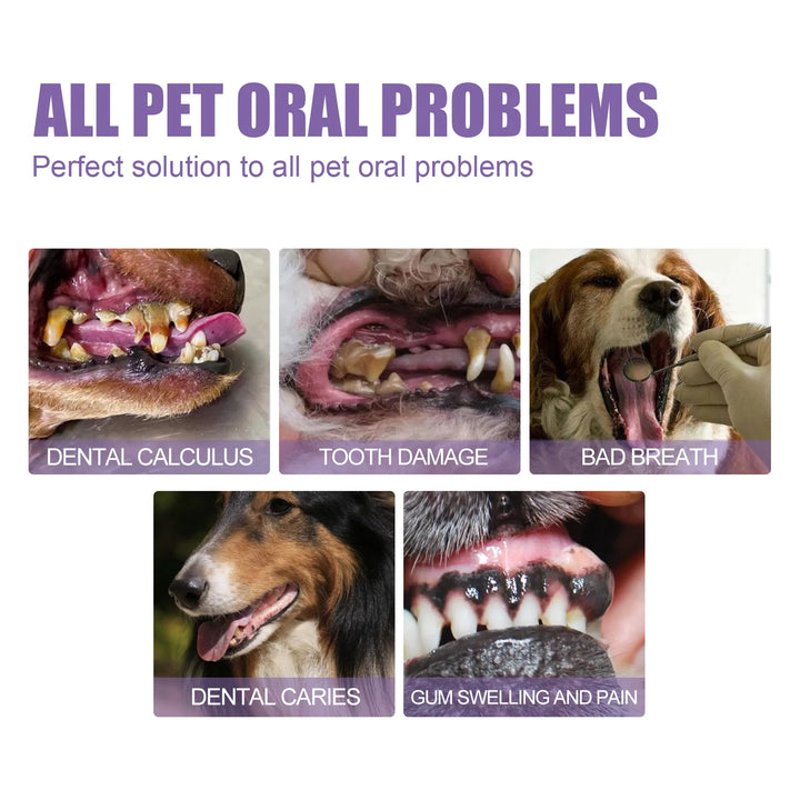 2pcs Pet Teeth Cleaning Pen with Oral Gel