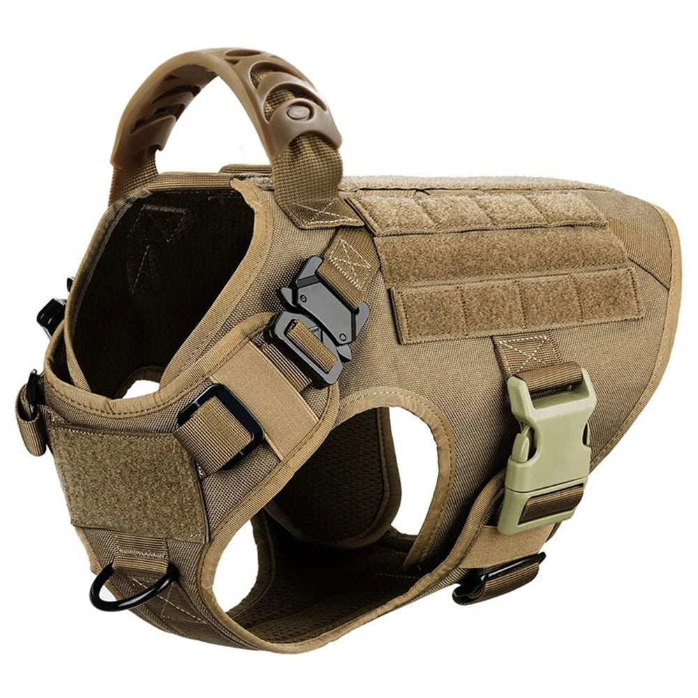 Large Dog Harness & Leash Set with Collar