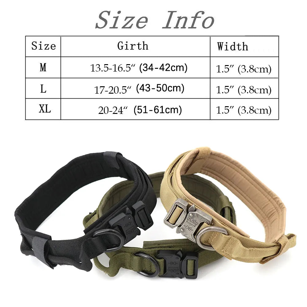 Large Dog Harness & Leash Set with Collar