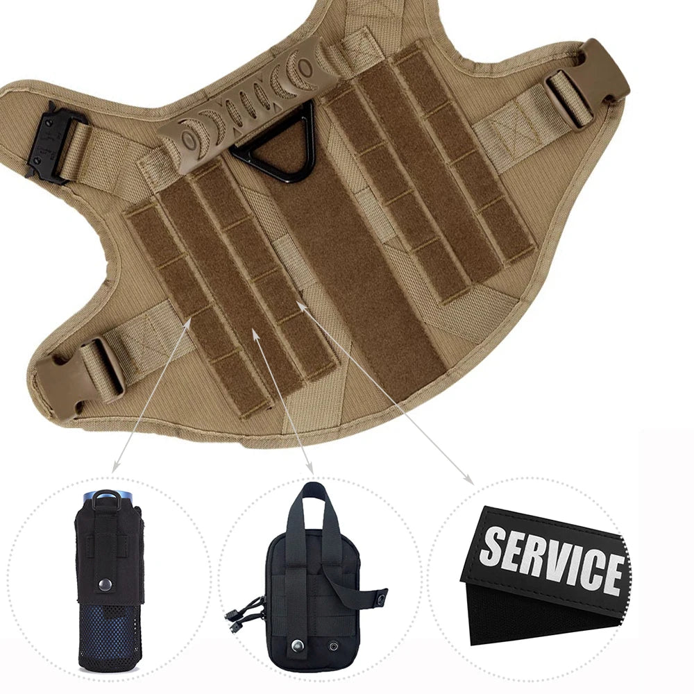 Large Dog Harness & Leash Set with Collar