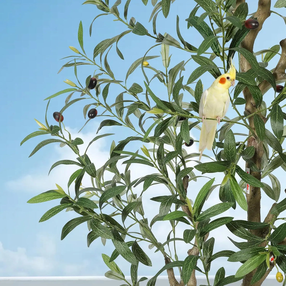 5-7ft Artificial Olive Tree with White Planter