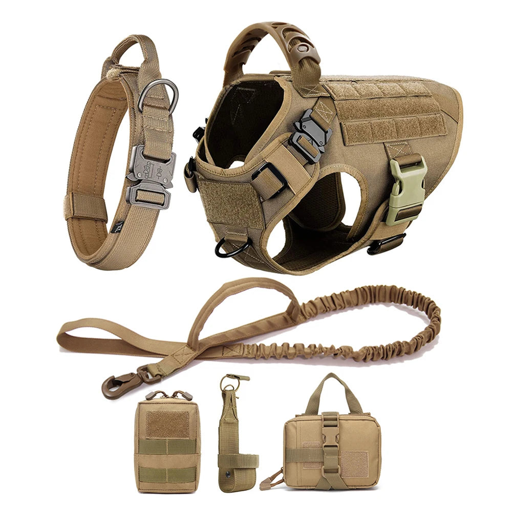 Large Dog Harness & Leash Set with Collar