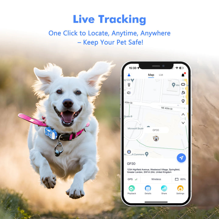 4G GPS Pet Tracker for Dogs & Cats