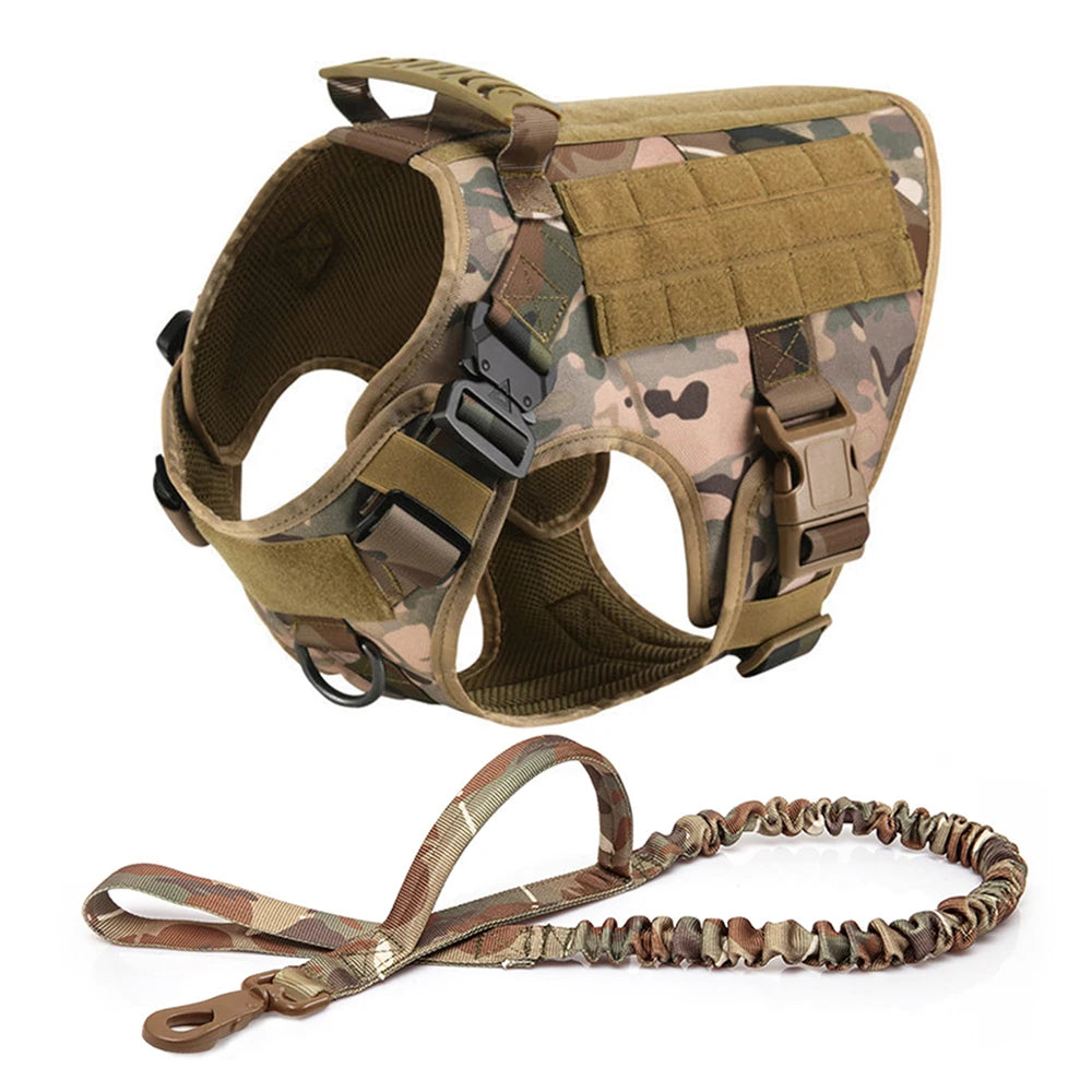 Large Dog Harness & Leash Set with Collar