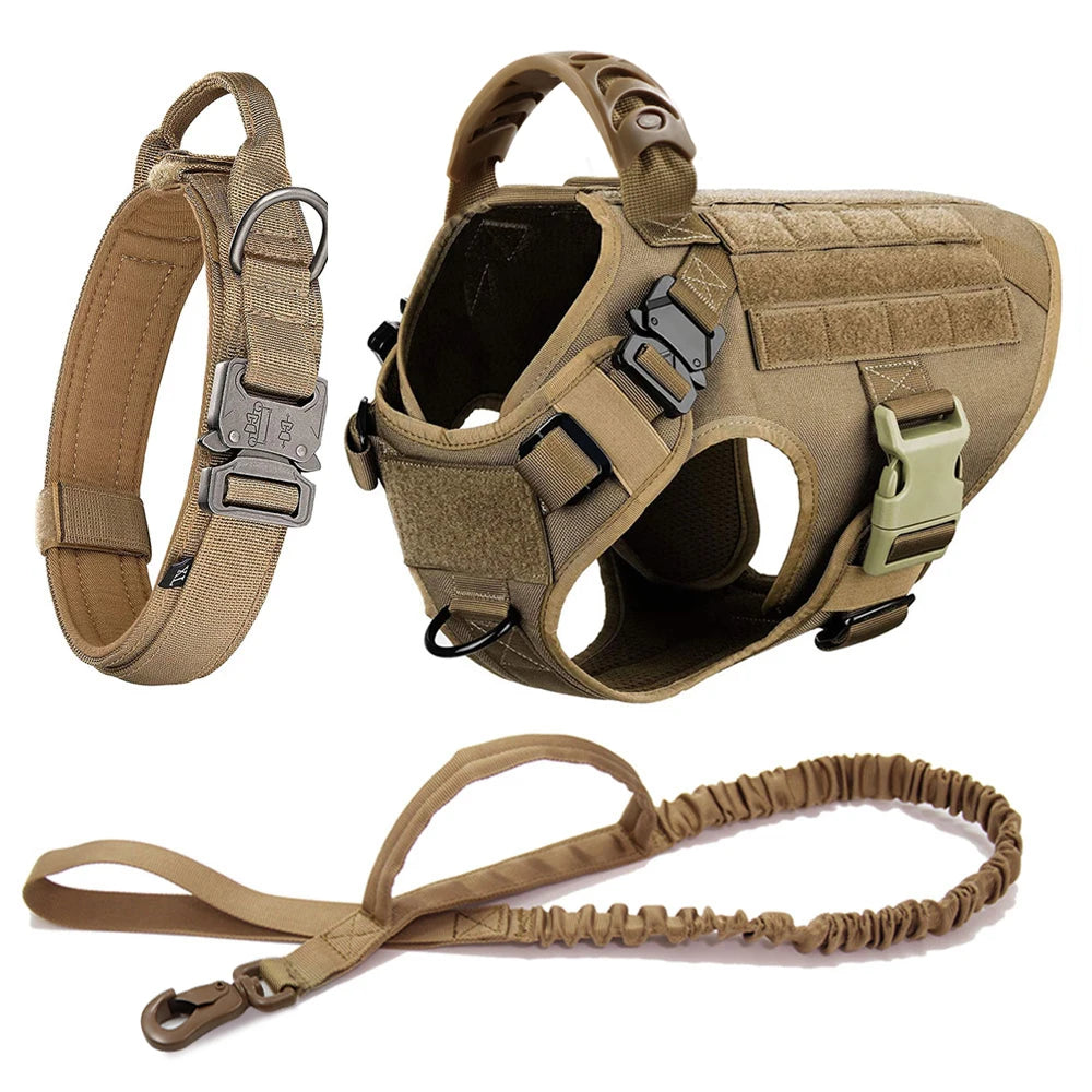 Large Dog Harness & Leash Set with Collar
