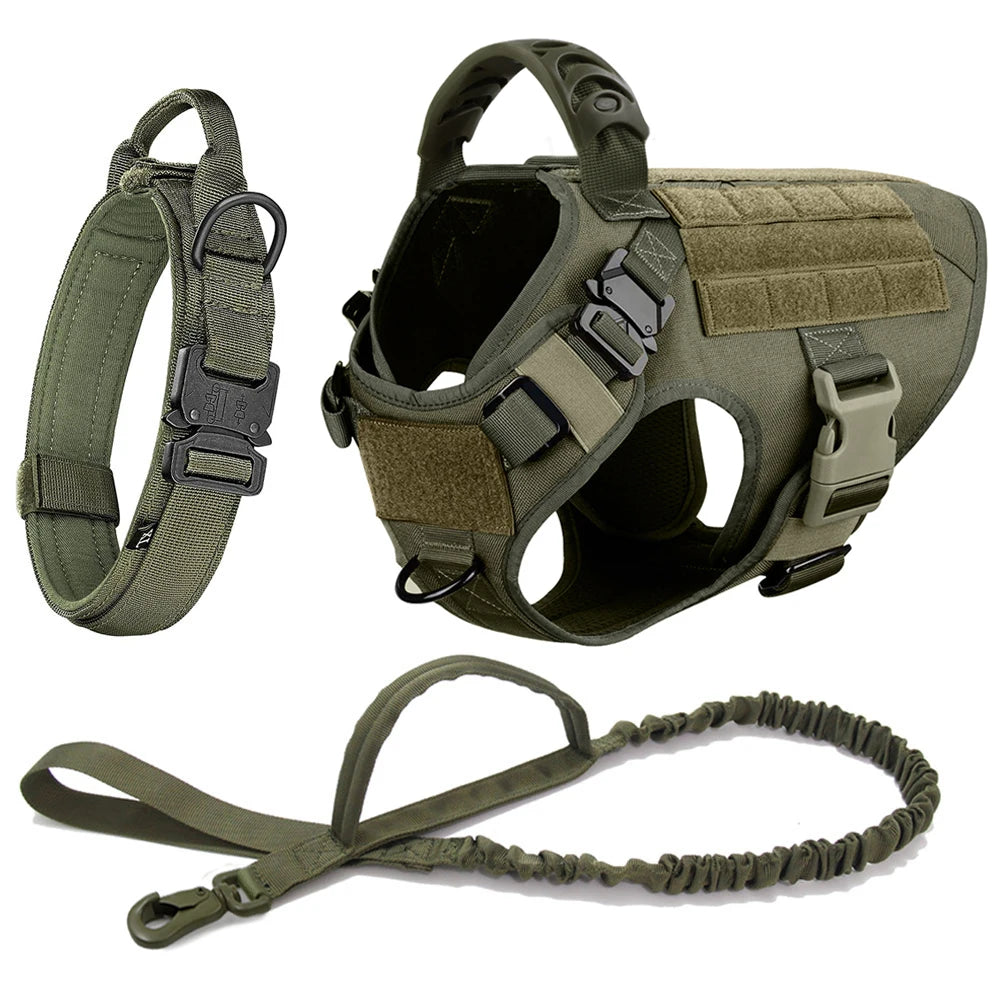 Large Dog Harness & Leash Set with Collar